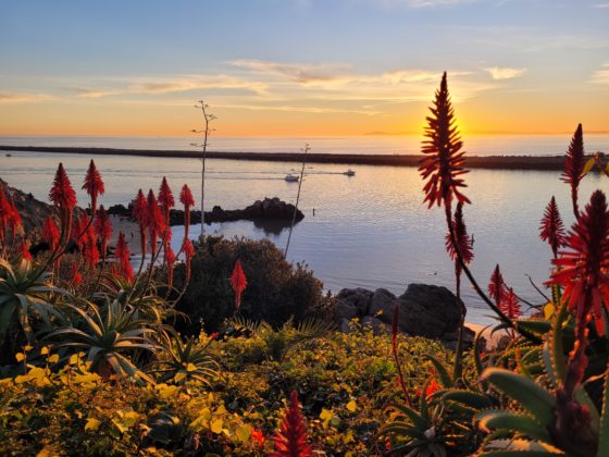 change happens when you hit the pain threshold